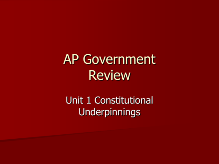 The golden ticket ap government review answers