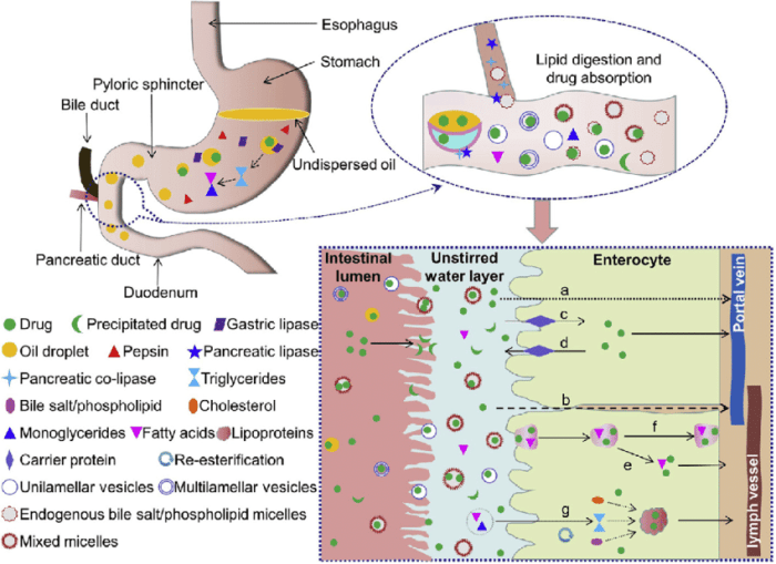 Bile salts