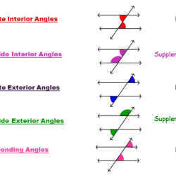 Quiz 3 1 parallel lines transversals and angles answer key