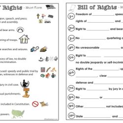 Amendment violation matching activity answers