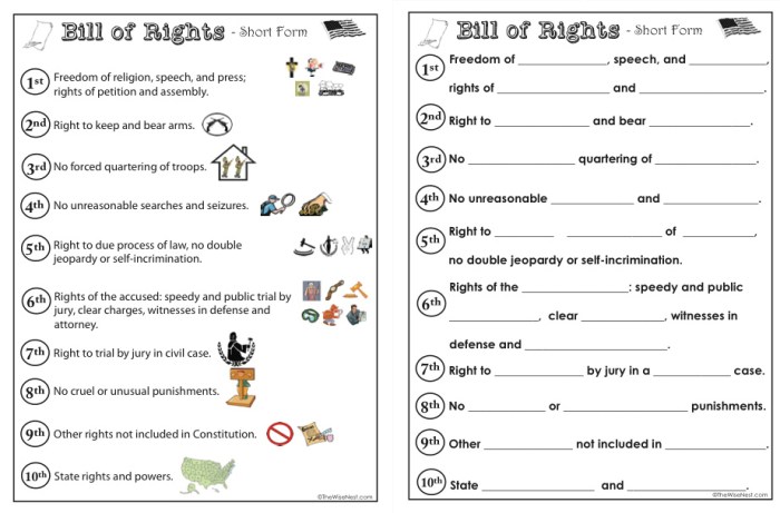 Amendment violation matching activity answers